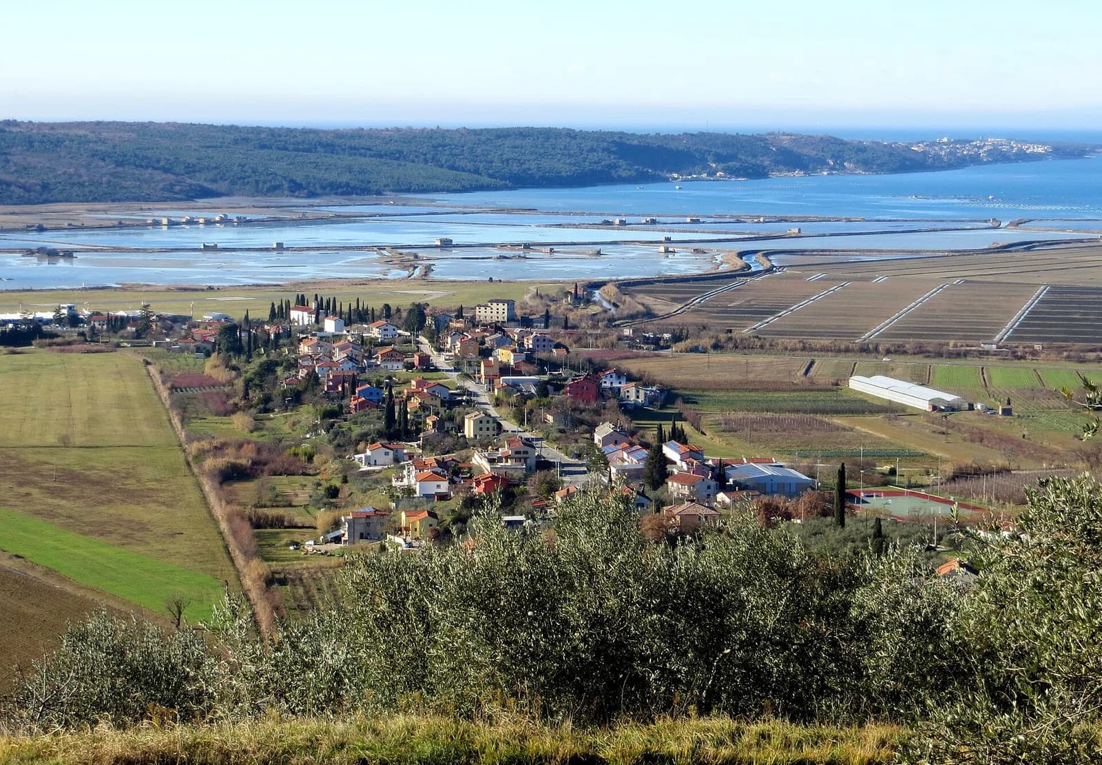 Sečovlje