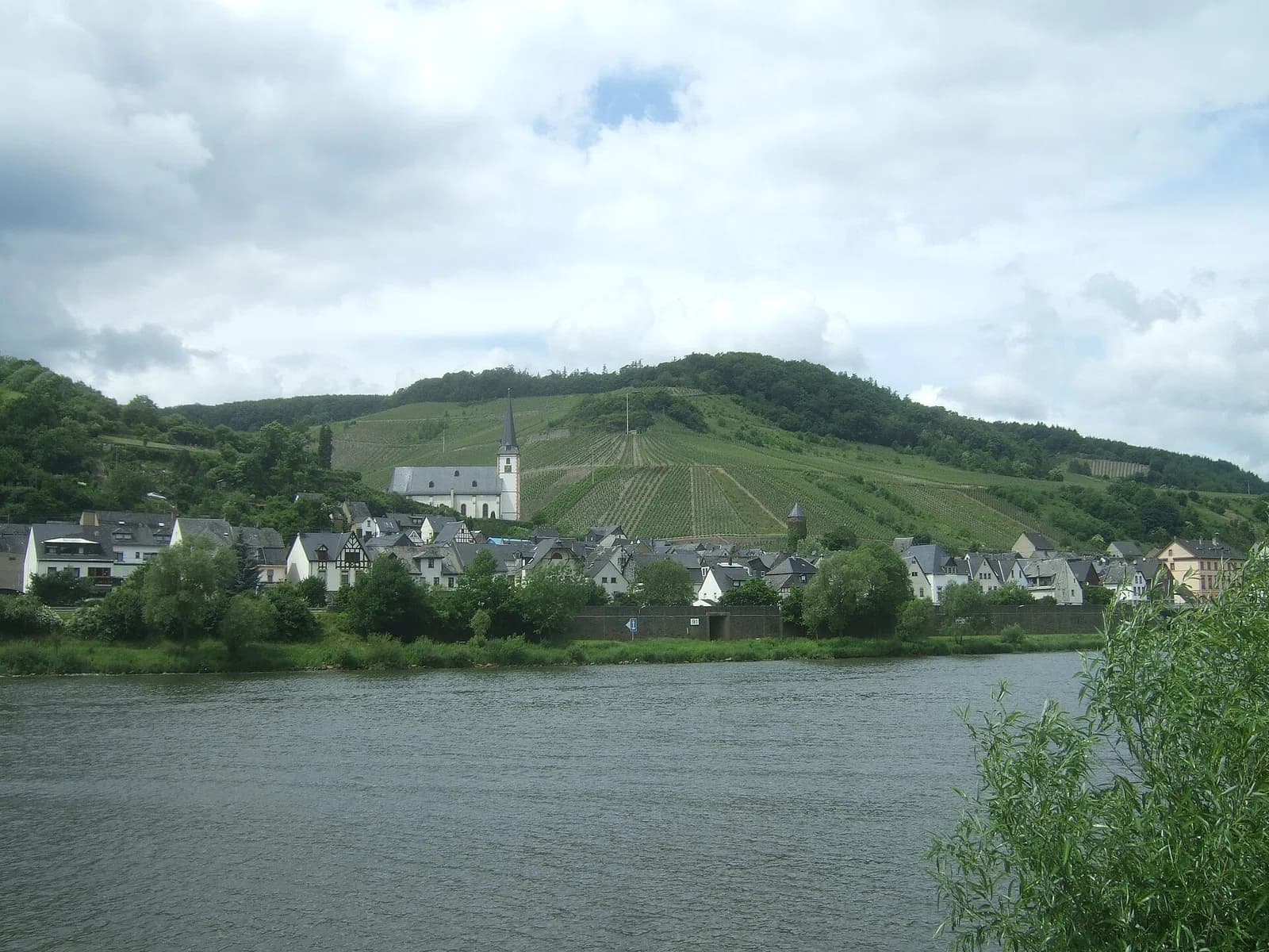 Briedel
