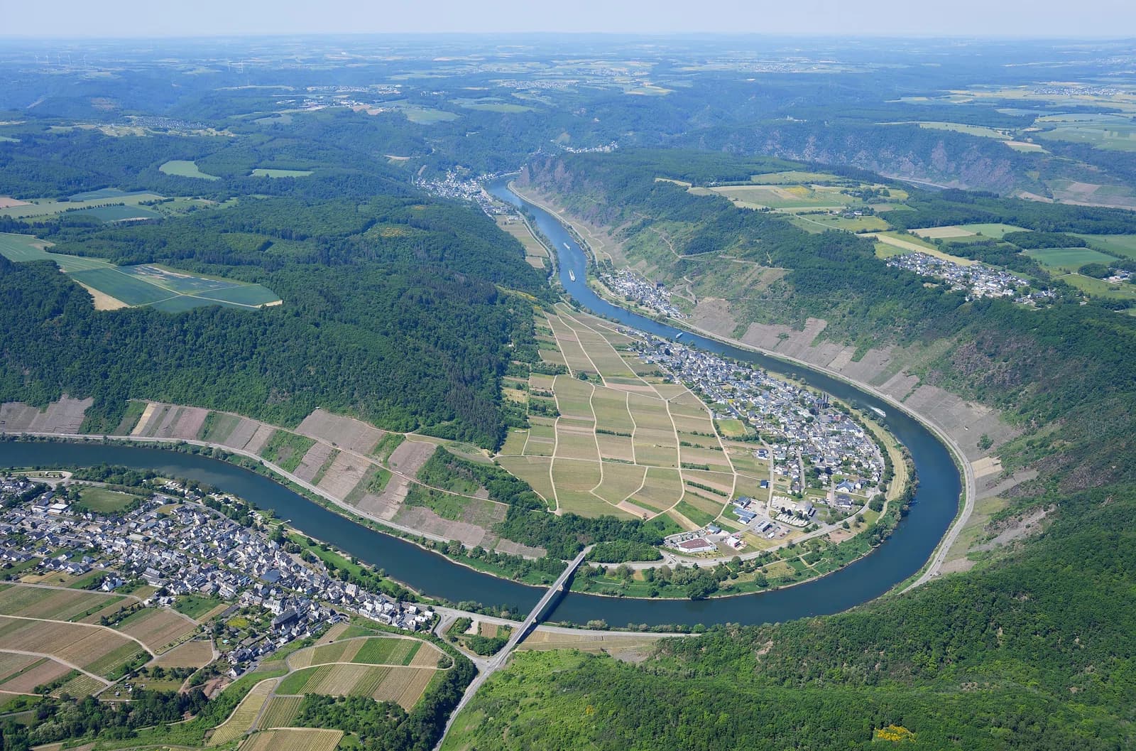Ernst