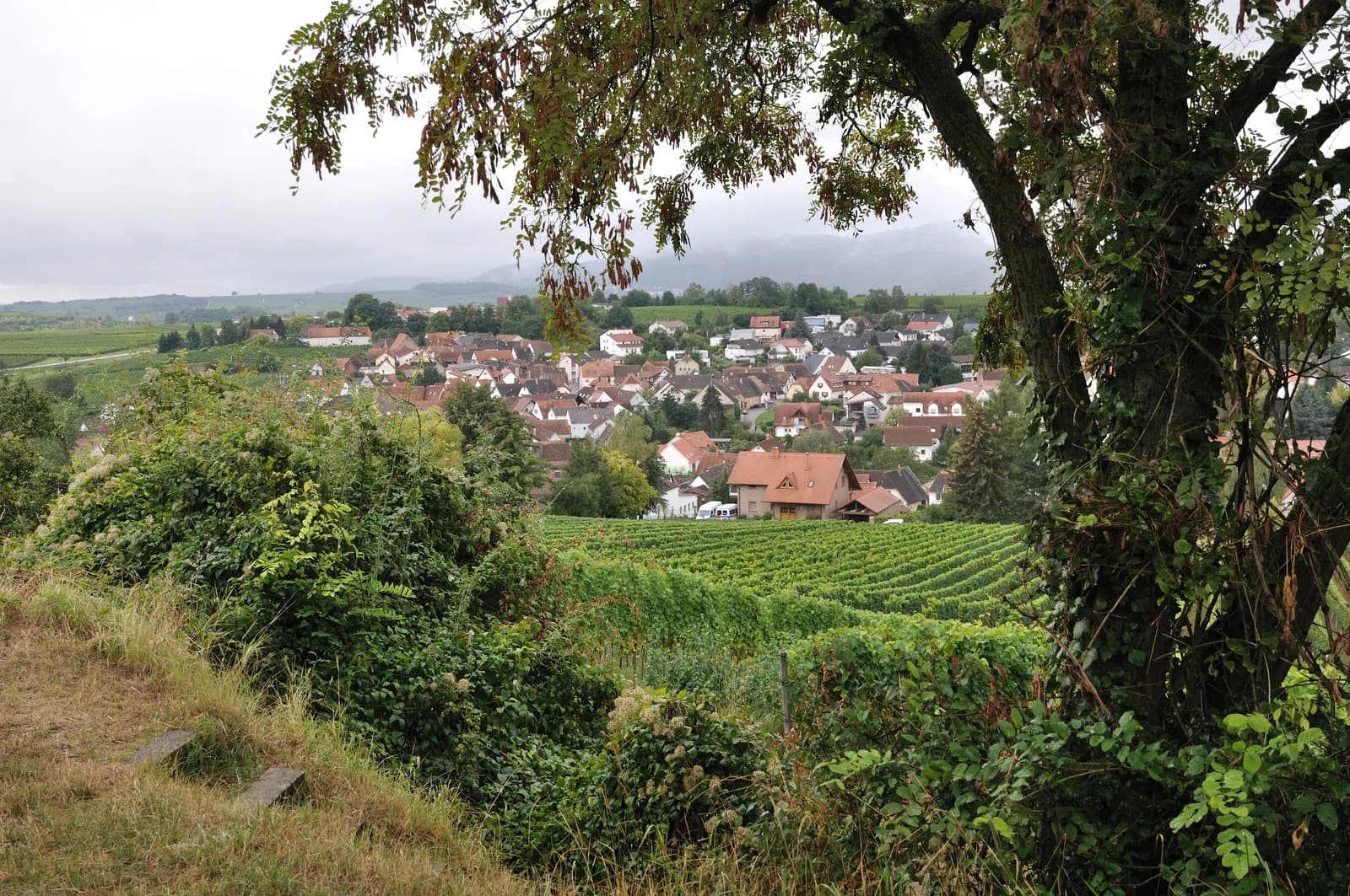Ilbesheim bei Landau in der Pfalz