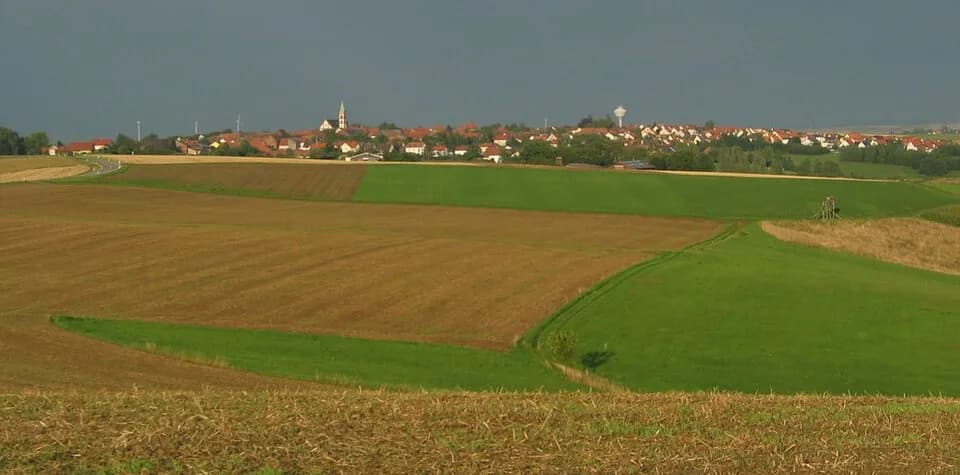 Martinshöhe