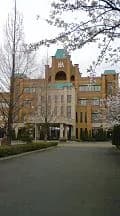 Heisei International University