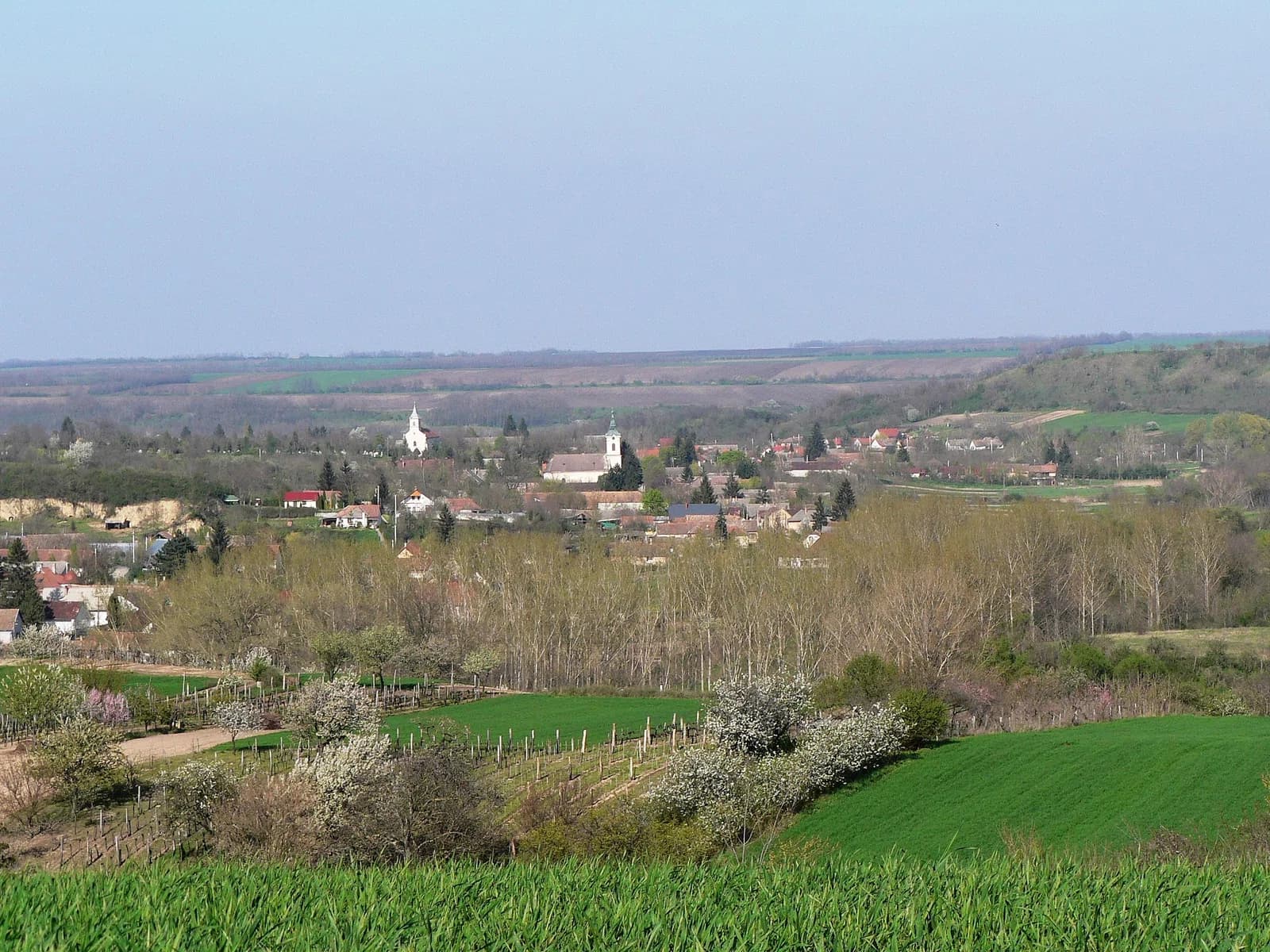 Felsőnyék