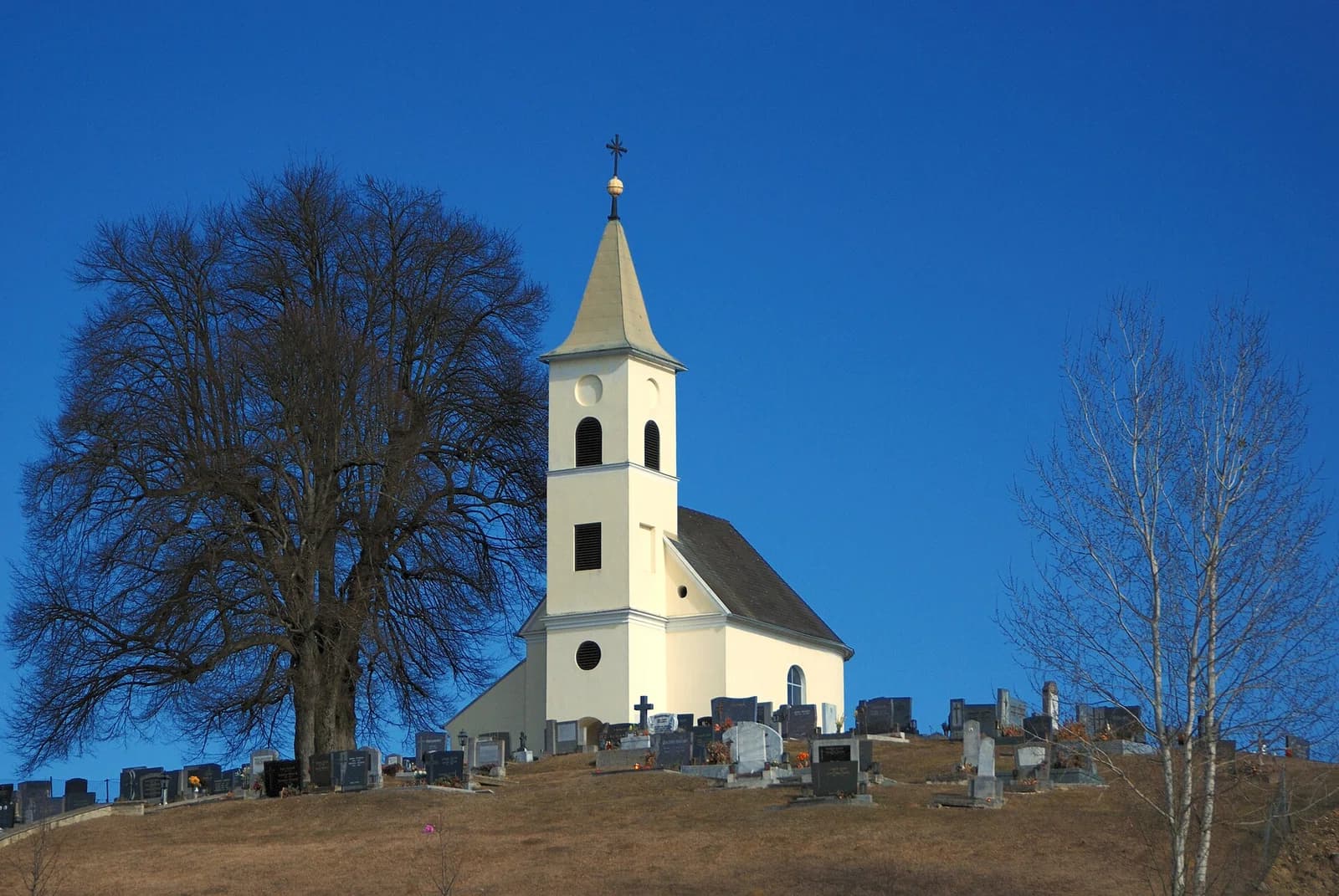 Limbach