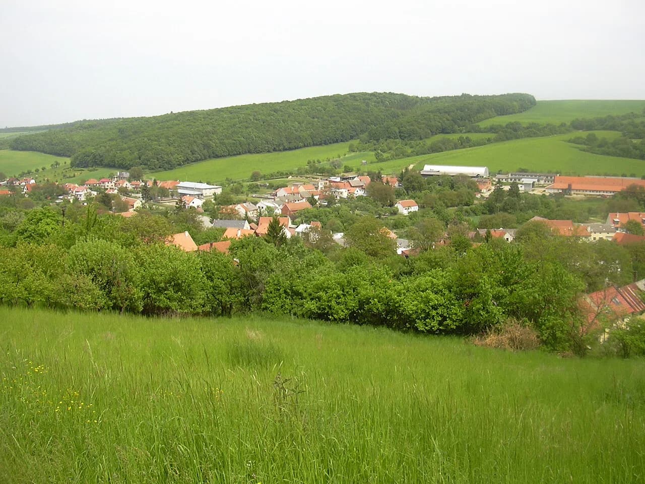 Orlovice