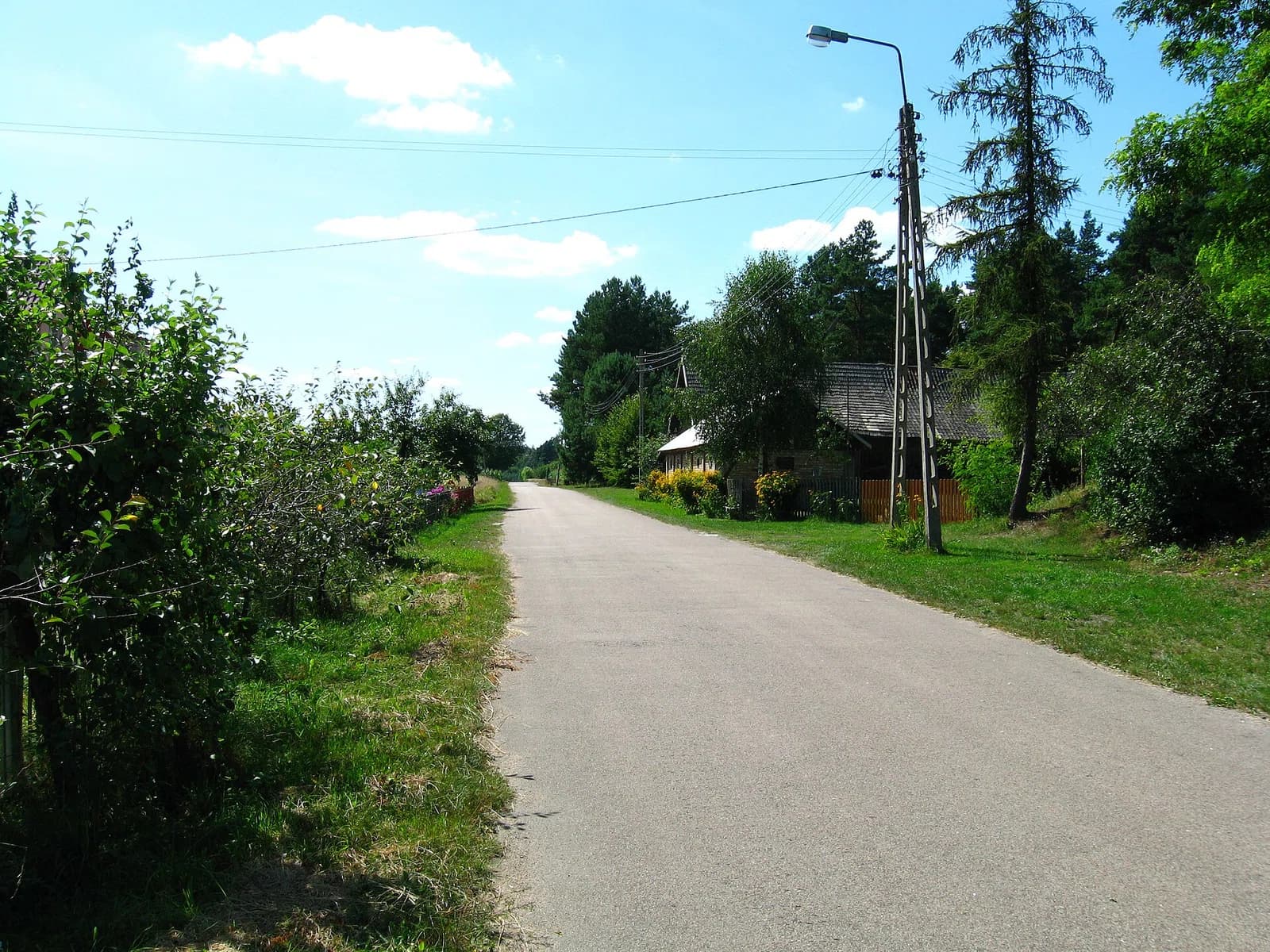 Zalesie