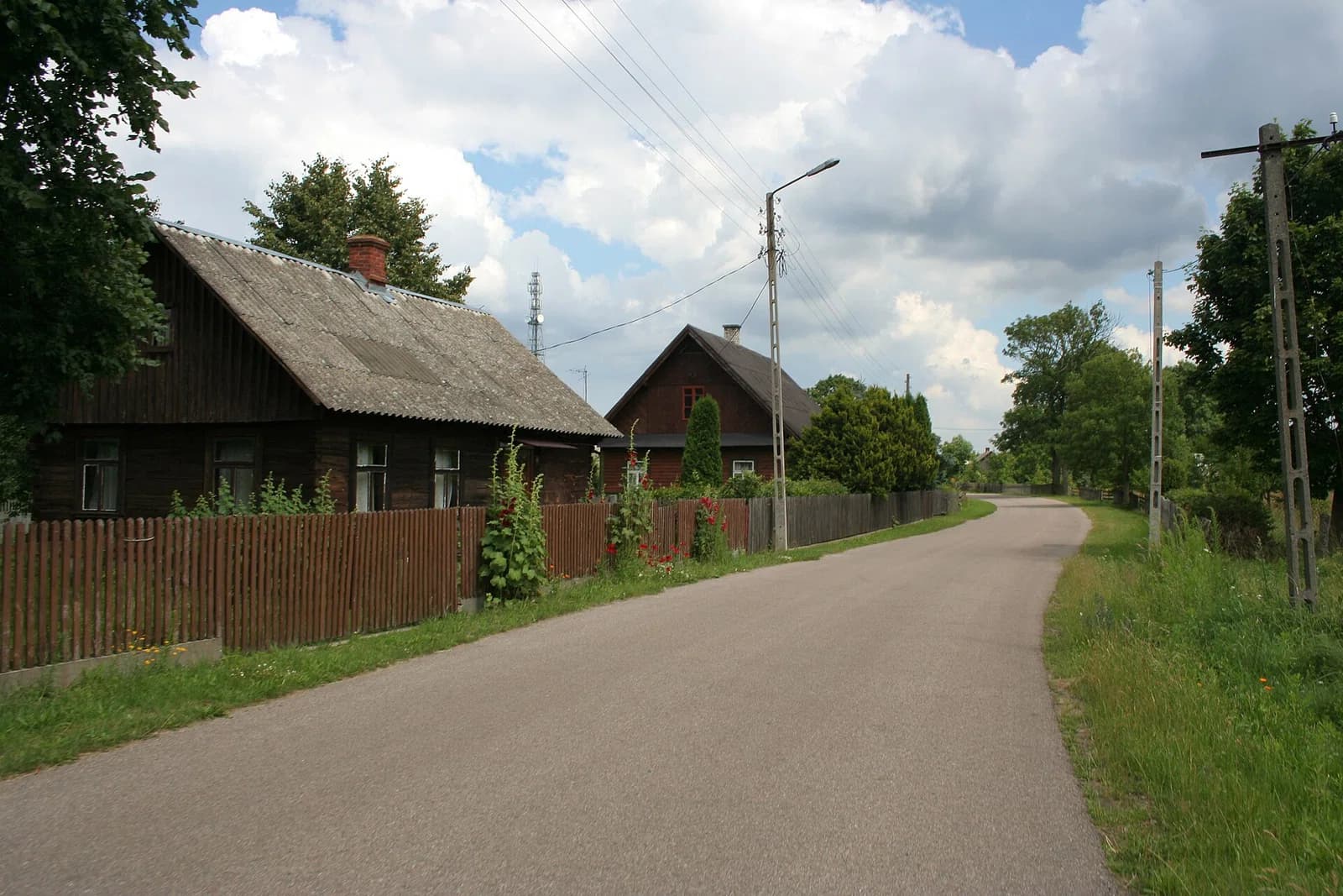 Miedwieżyki