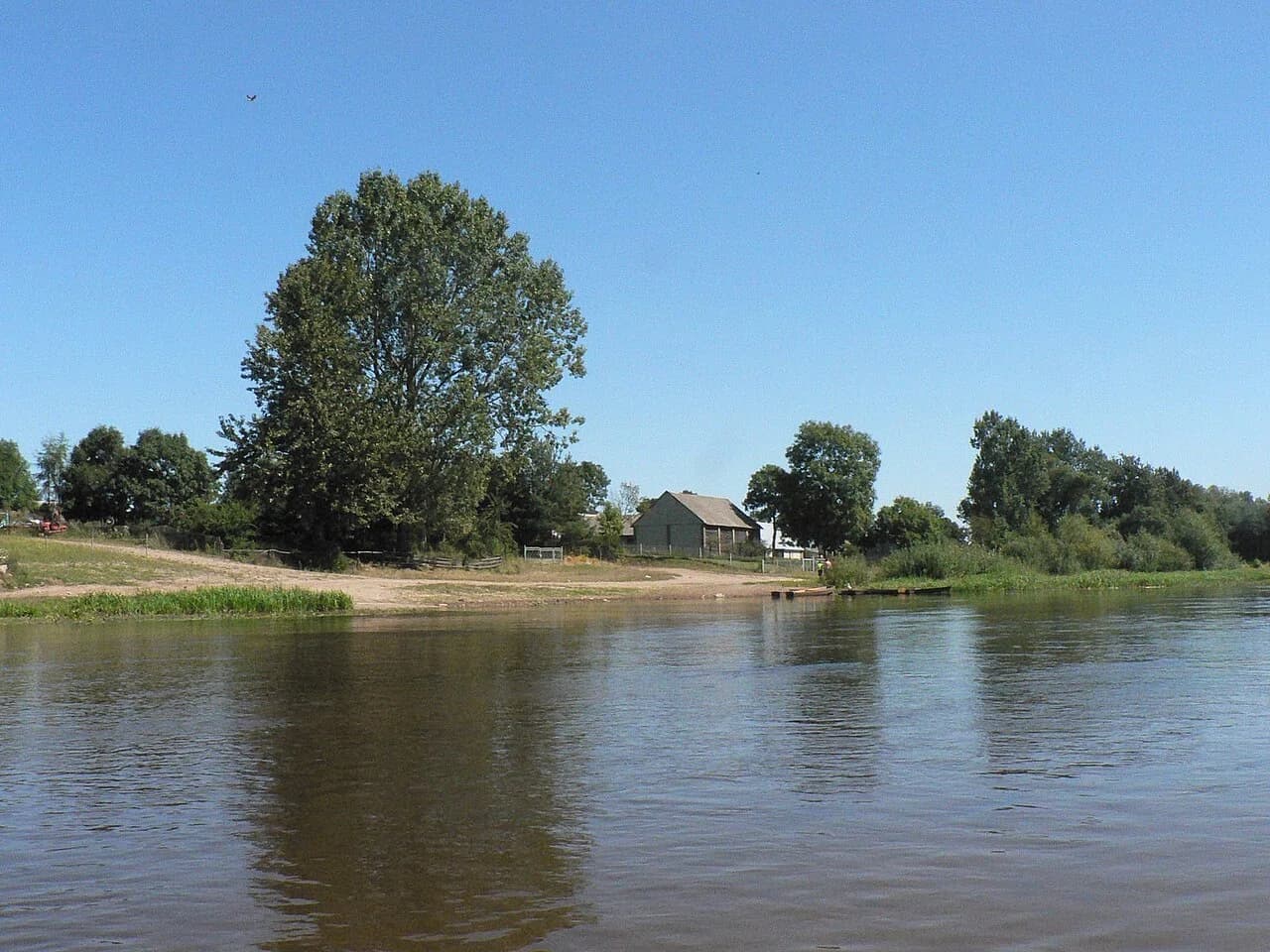 Zawyki