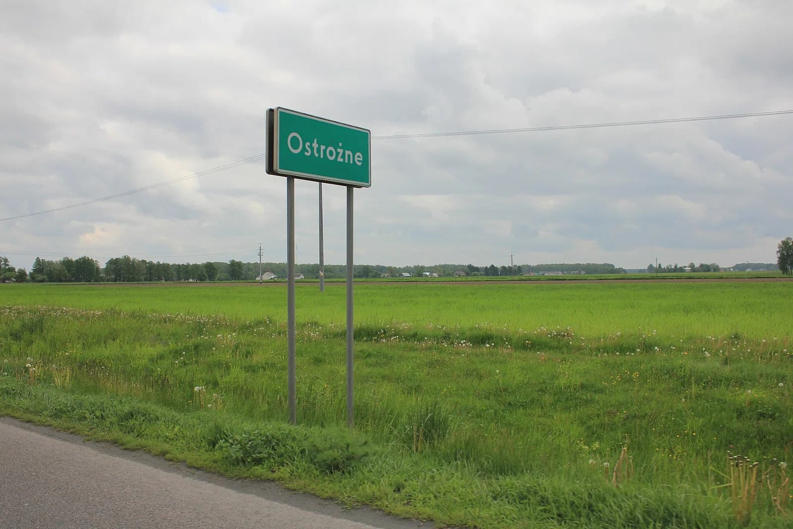 Ostrożne
