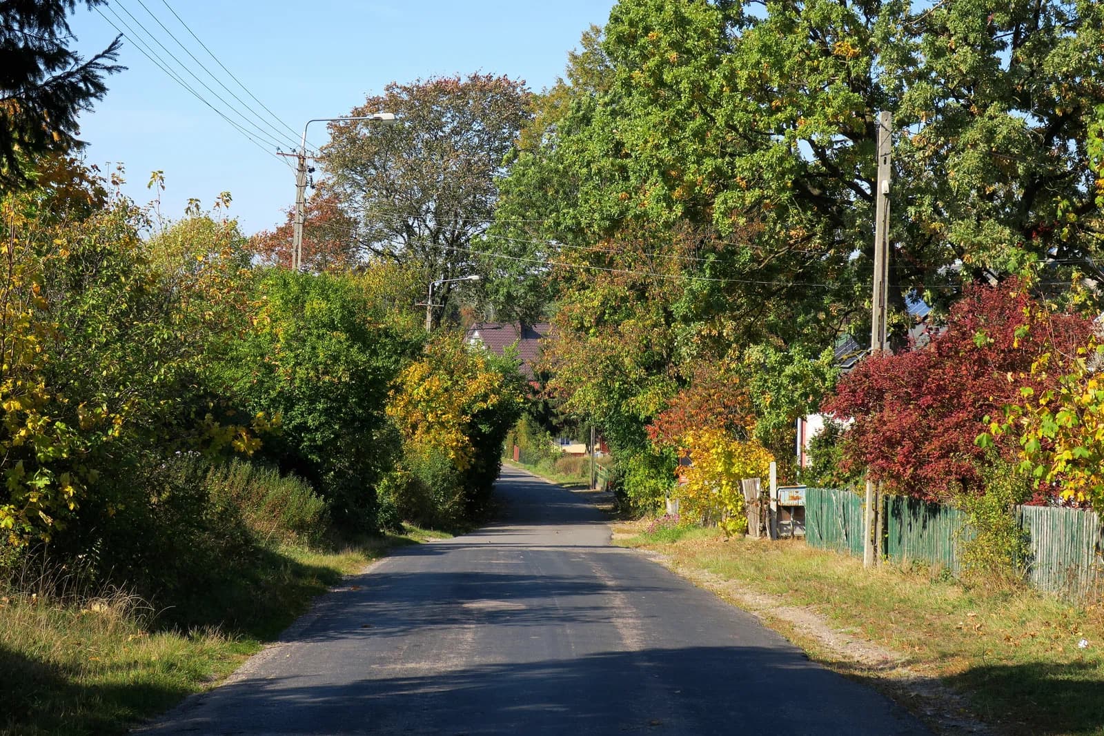 Kossaki