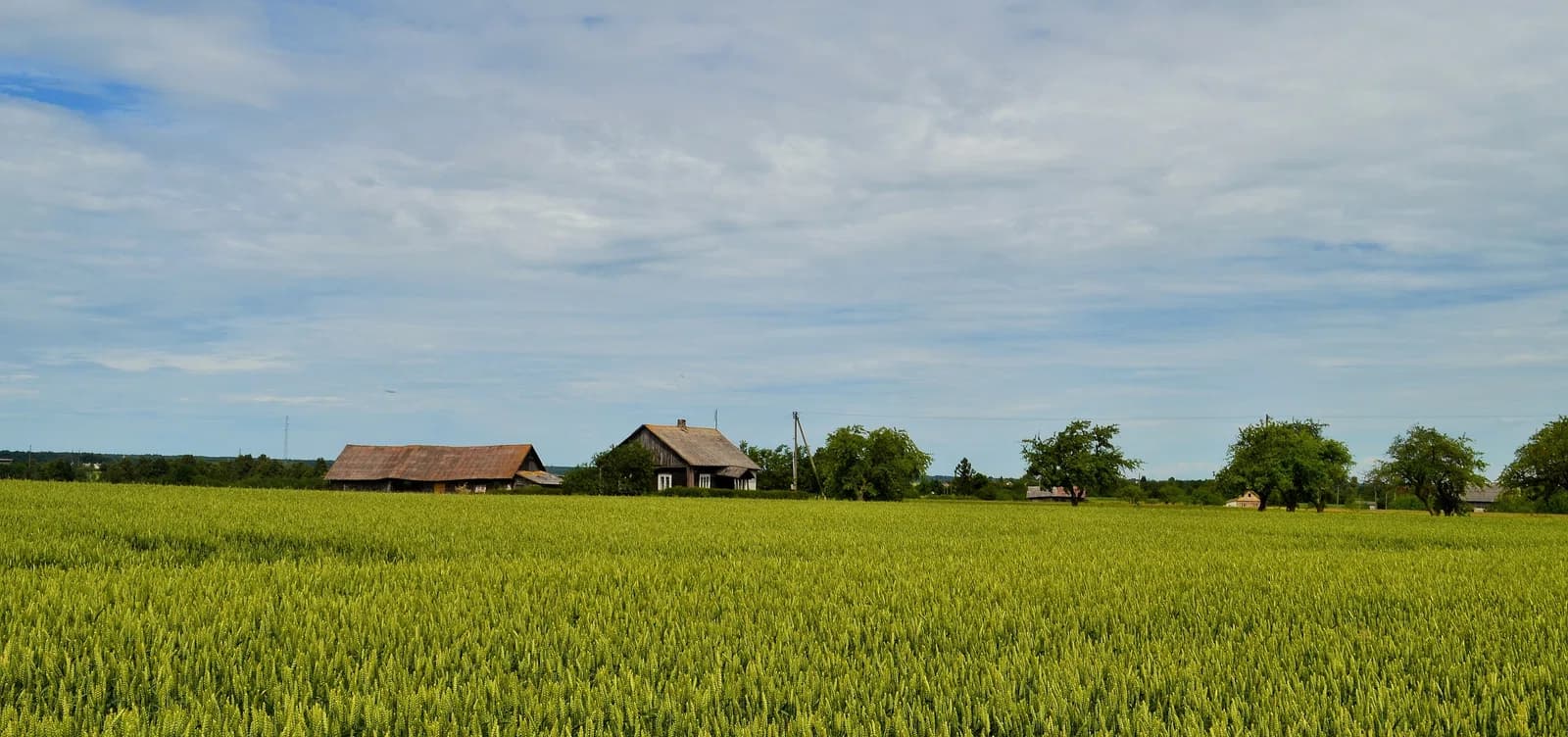 Mitėniškiai