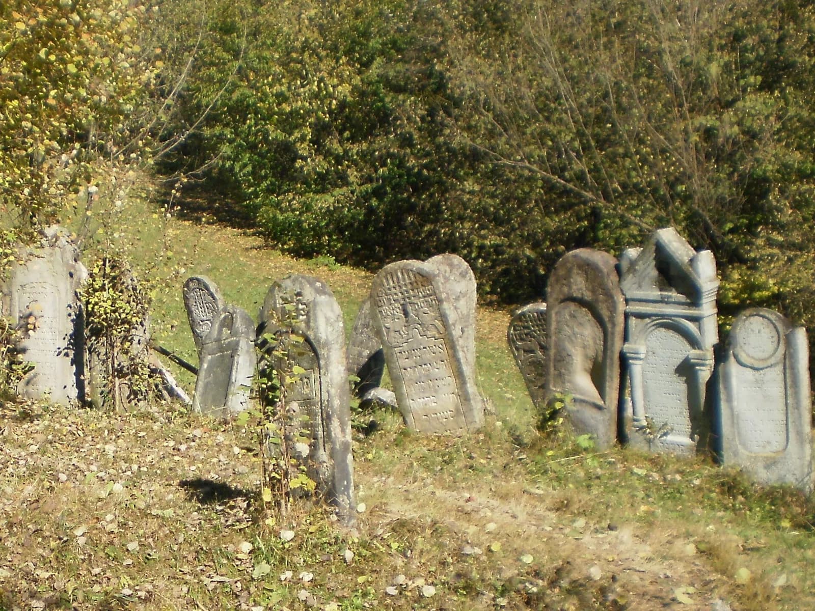 Bohdan