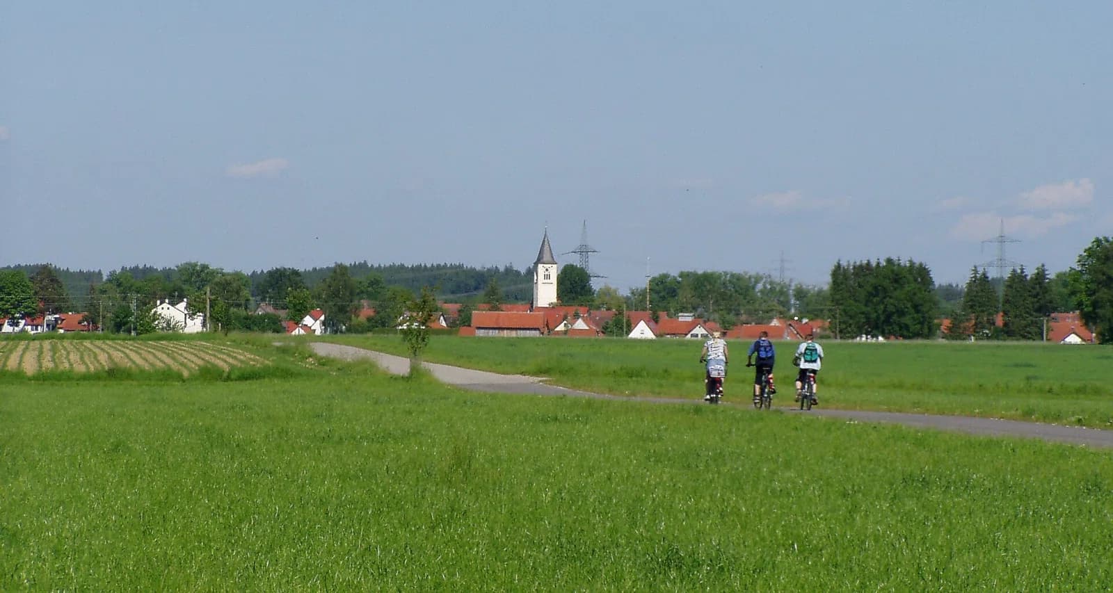 Honsolgen