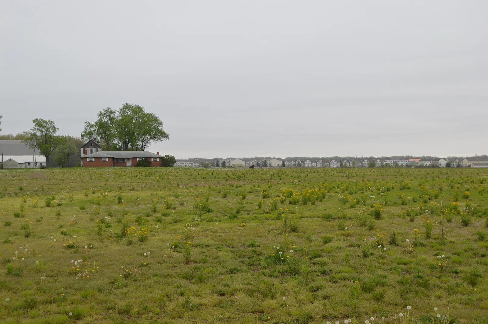 Plain Township