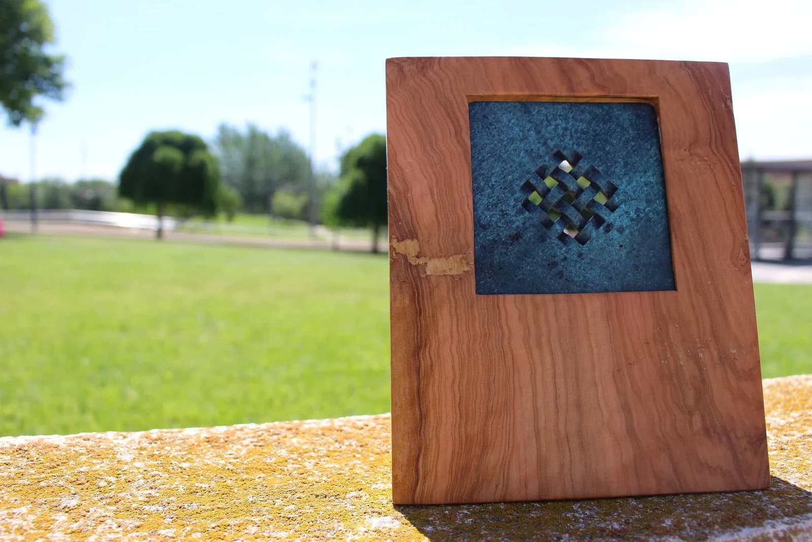 Vives University Network Medal of Honor