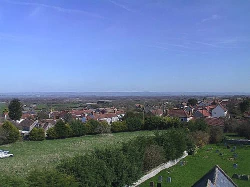 Catcott