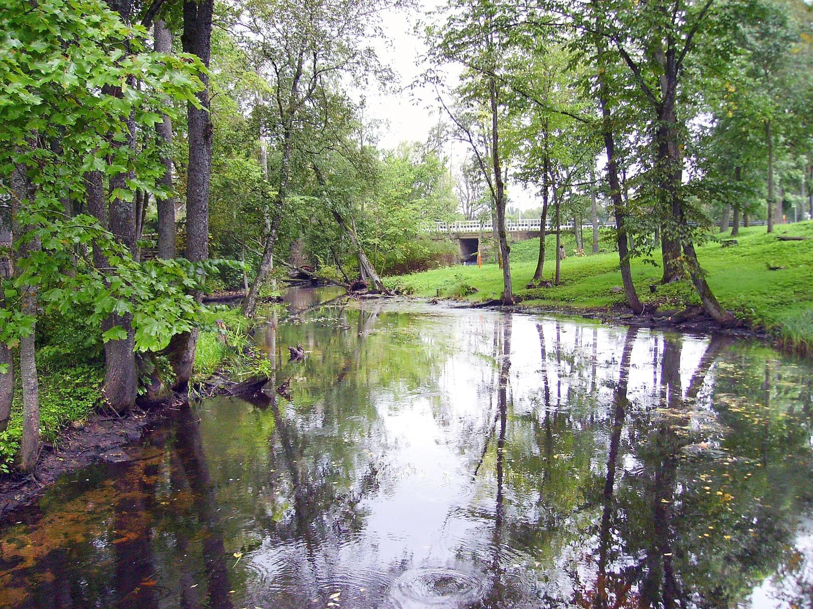 Palamuse Rural Municipality