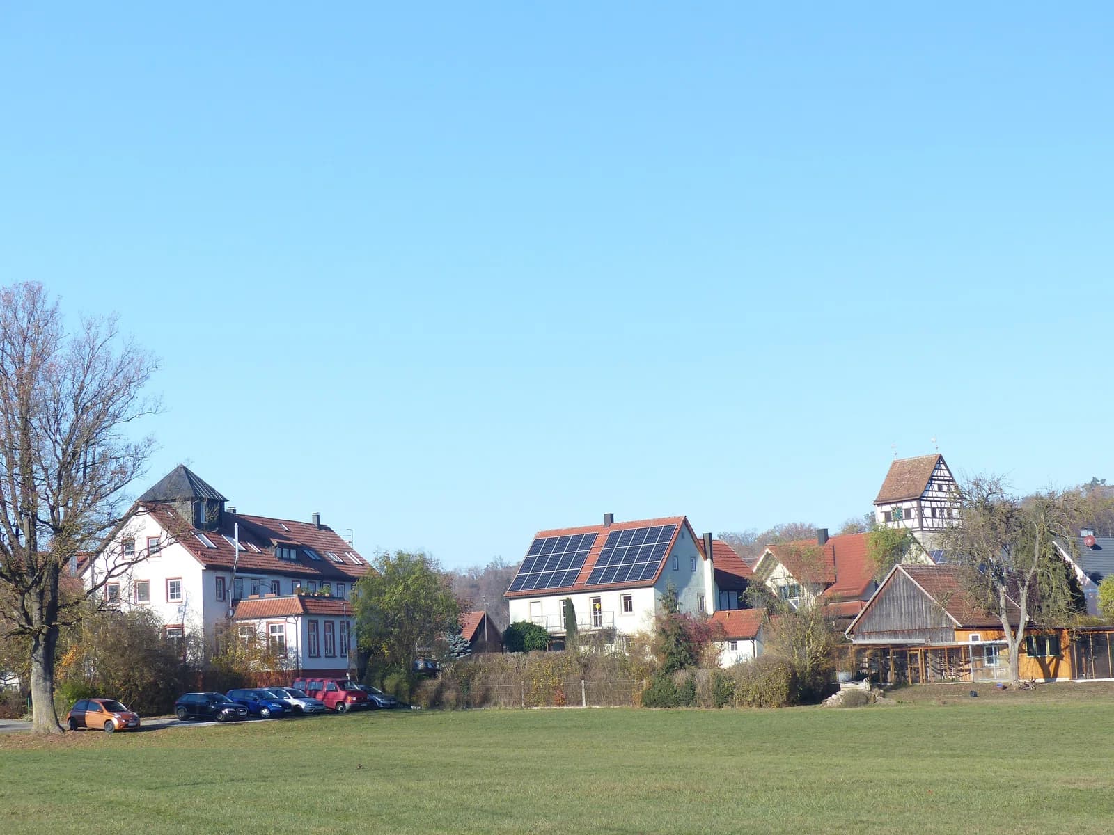 Waldtann
