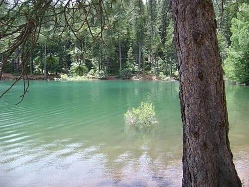 Pollock Pines