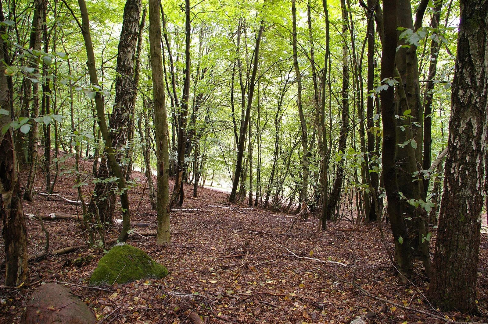 Lüchow-Dannenberg District