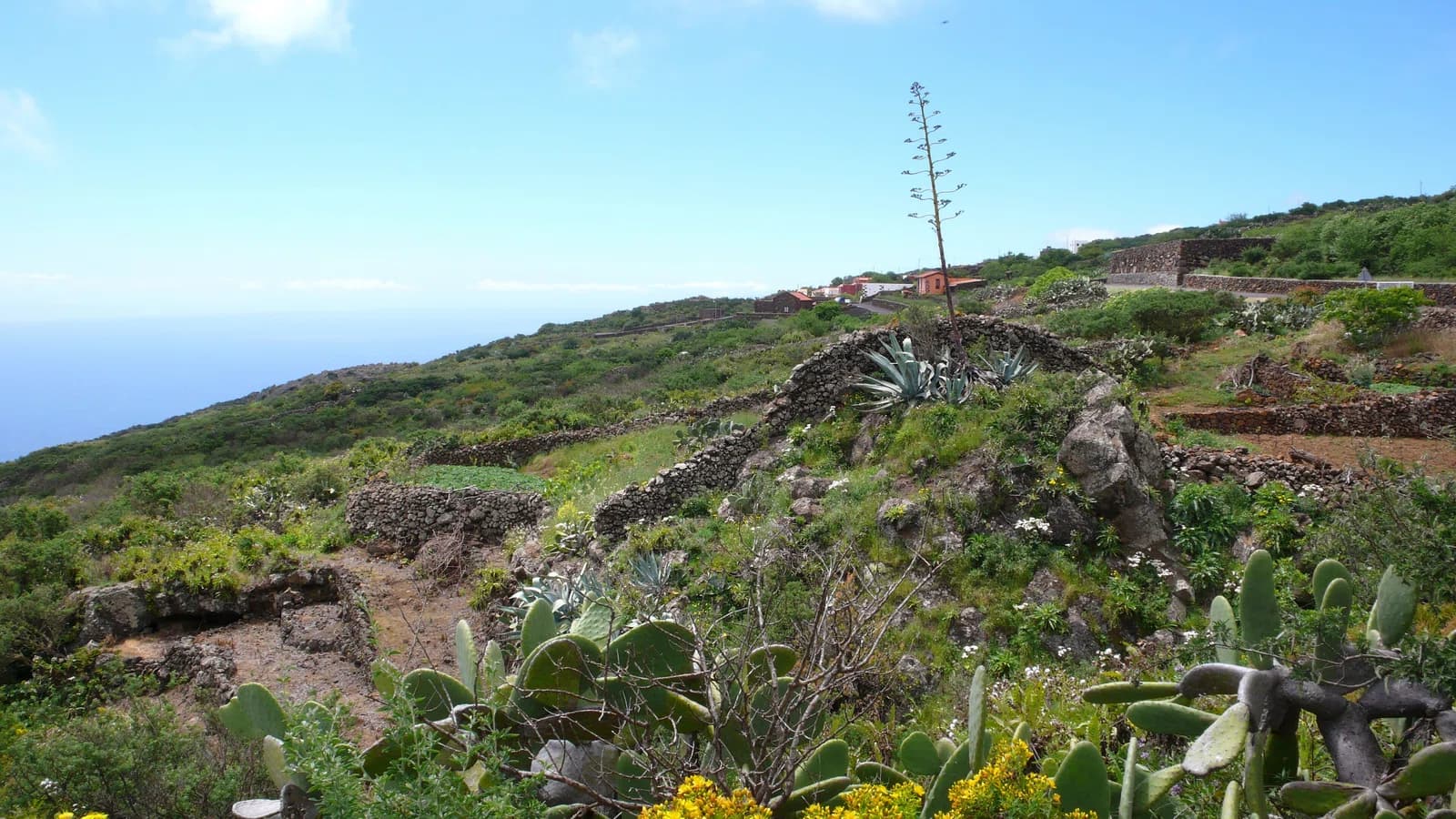 Isora