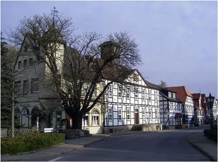 Lauenau