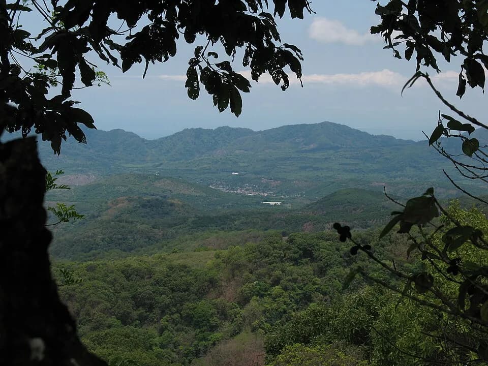 Jalcocotán