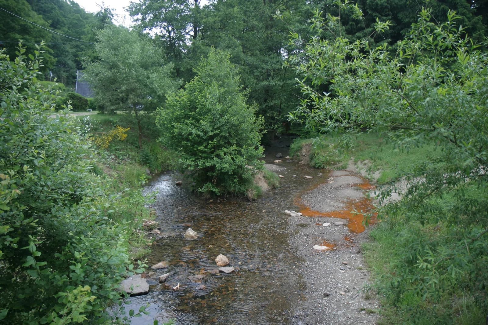 Asbach
