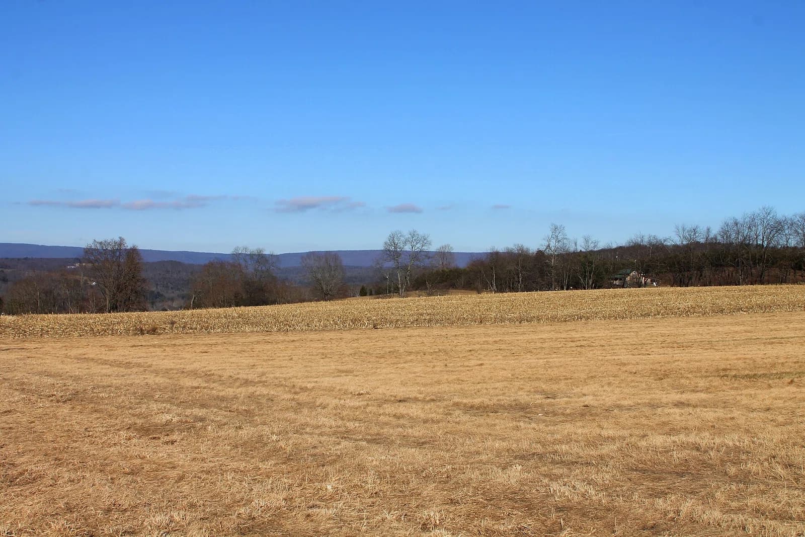 Huntington Township