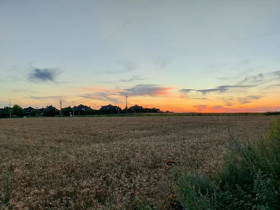 Gruszczyn, Greater Poland Voivodeship