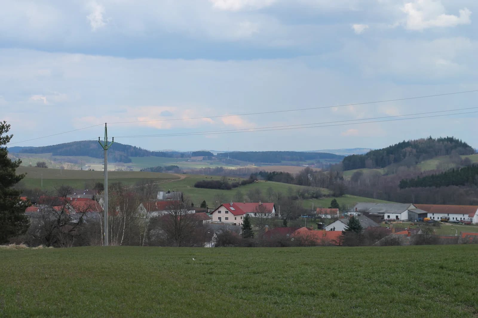 Dřešín