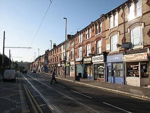 Hyson Green