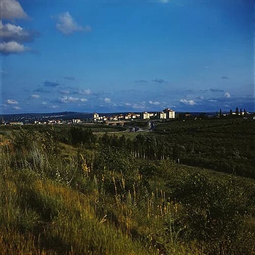 Ialoveni