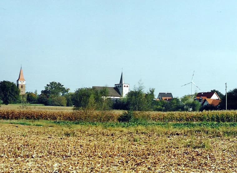 Minfeld