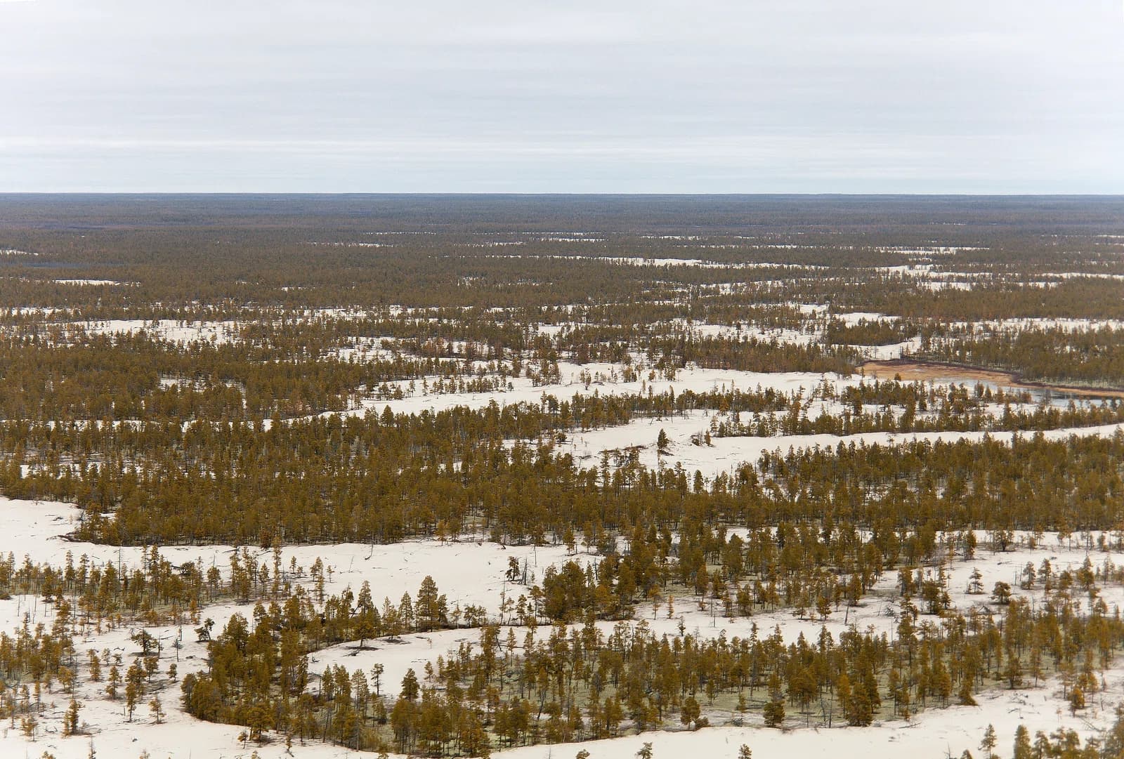Wiljuiski ulus
