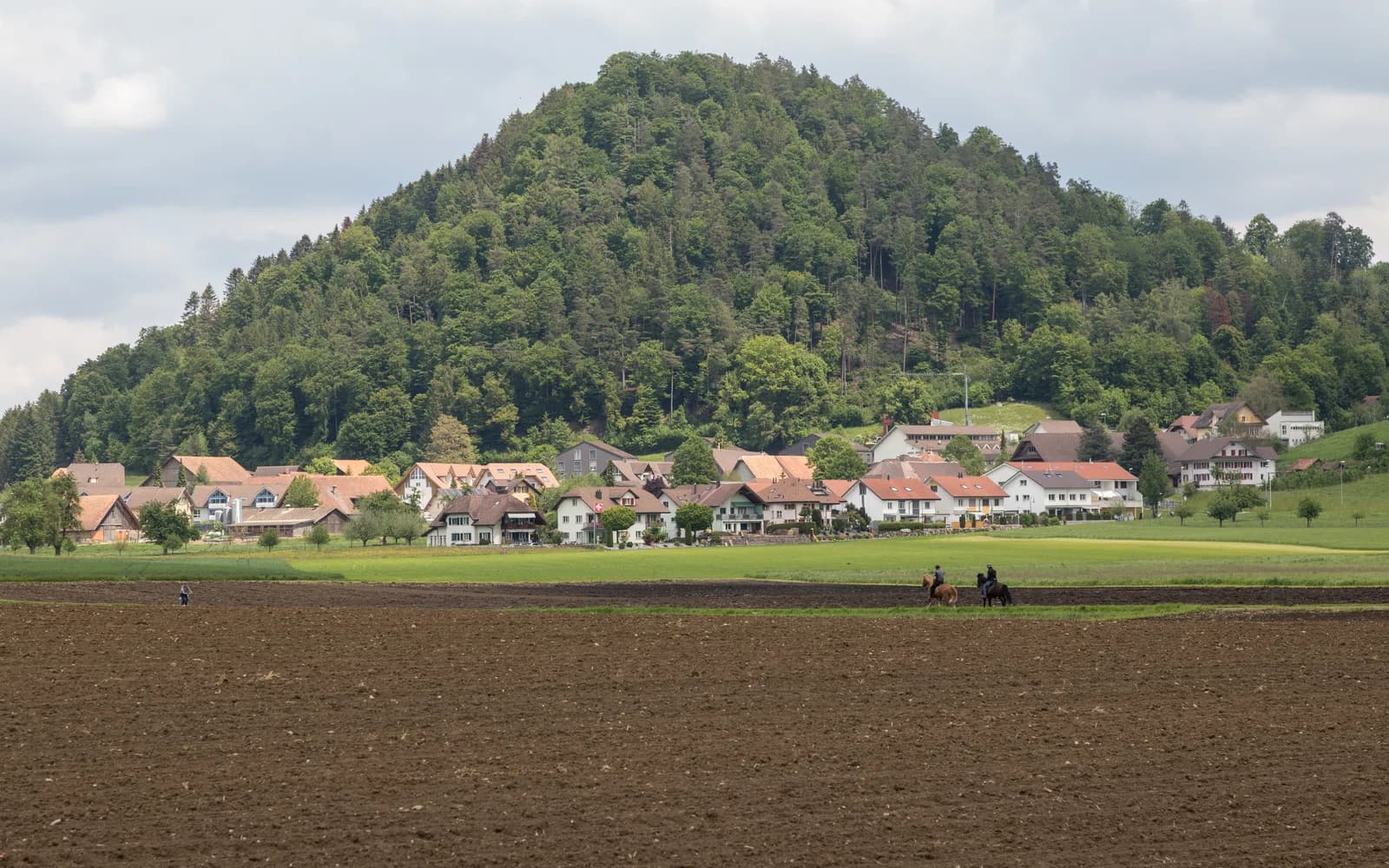 Kottwil