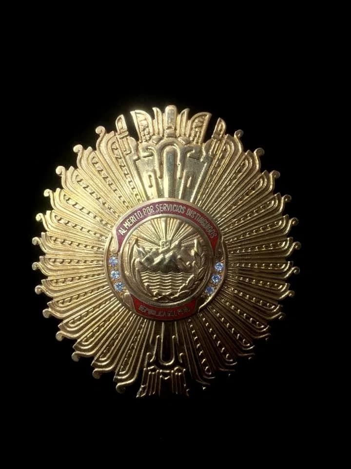 Order of Merit for Distinguished Services