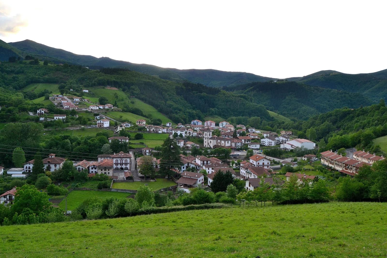 Sunbilla