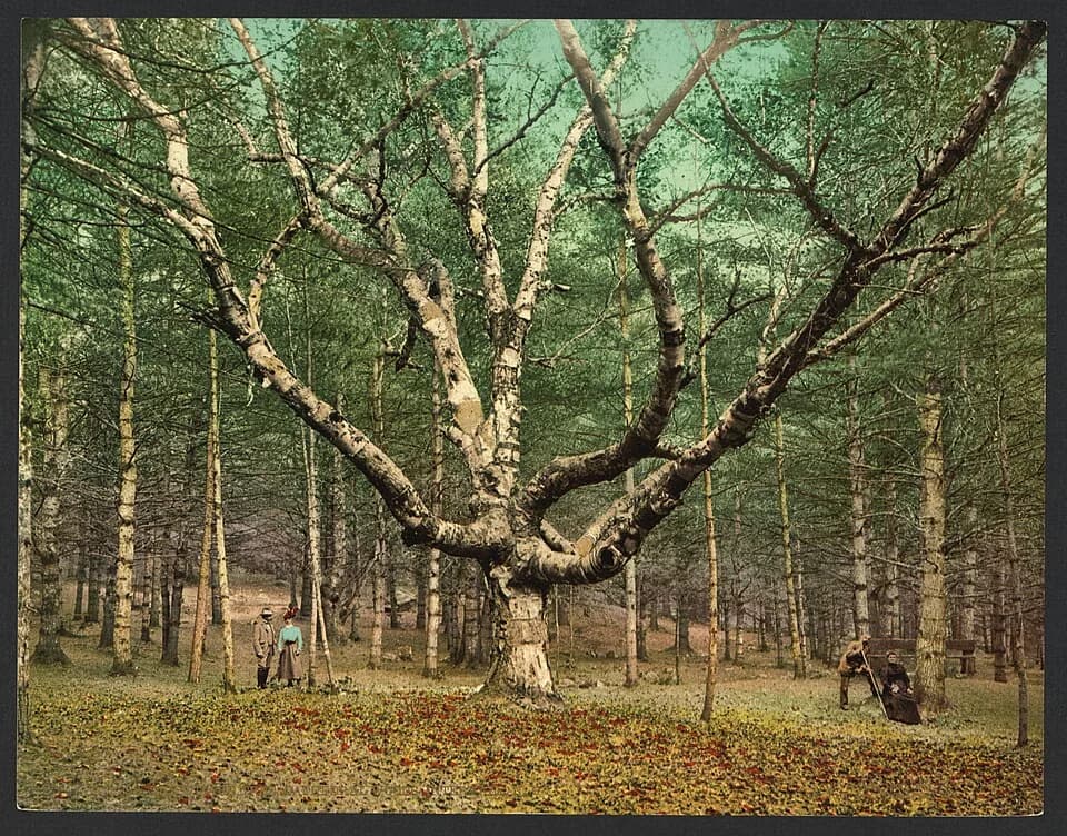 Intervale