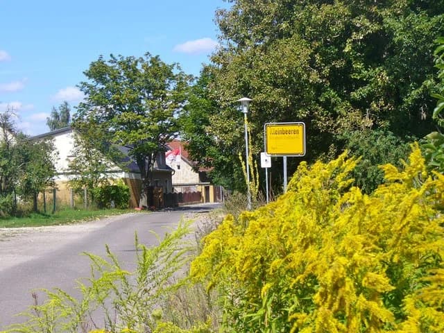 Kleinbeeren