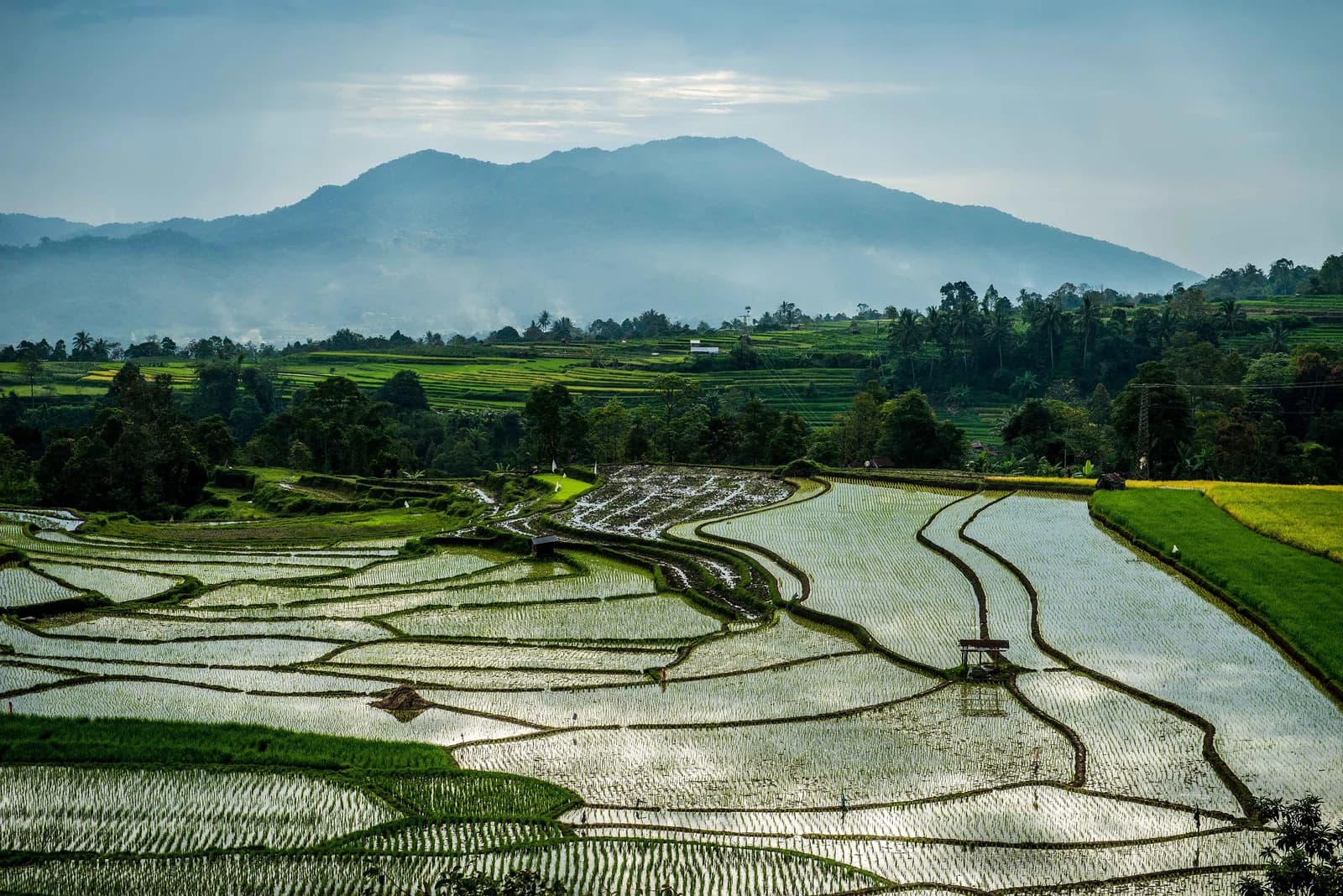 Tanah Datar
