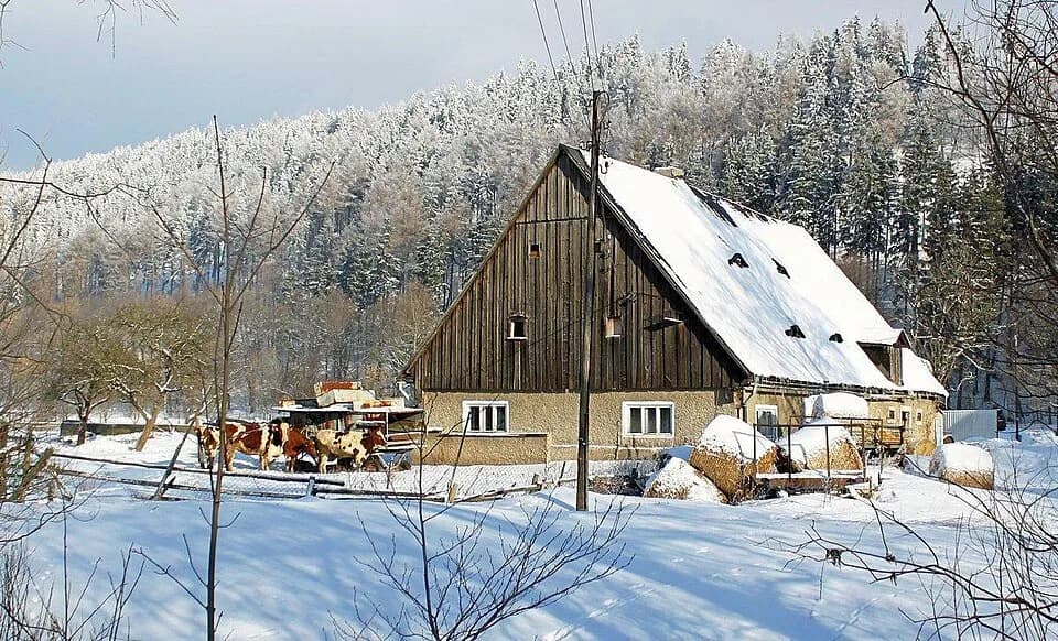Bukówka
