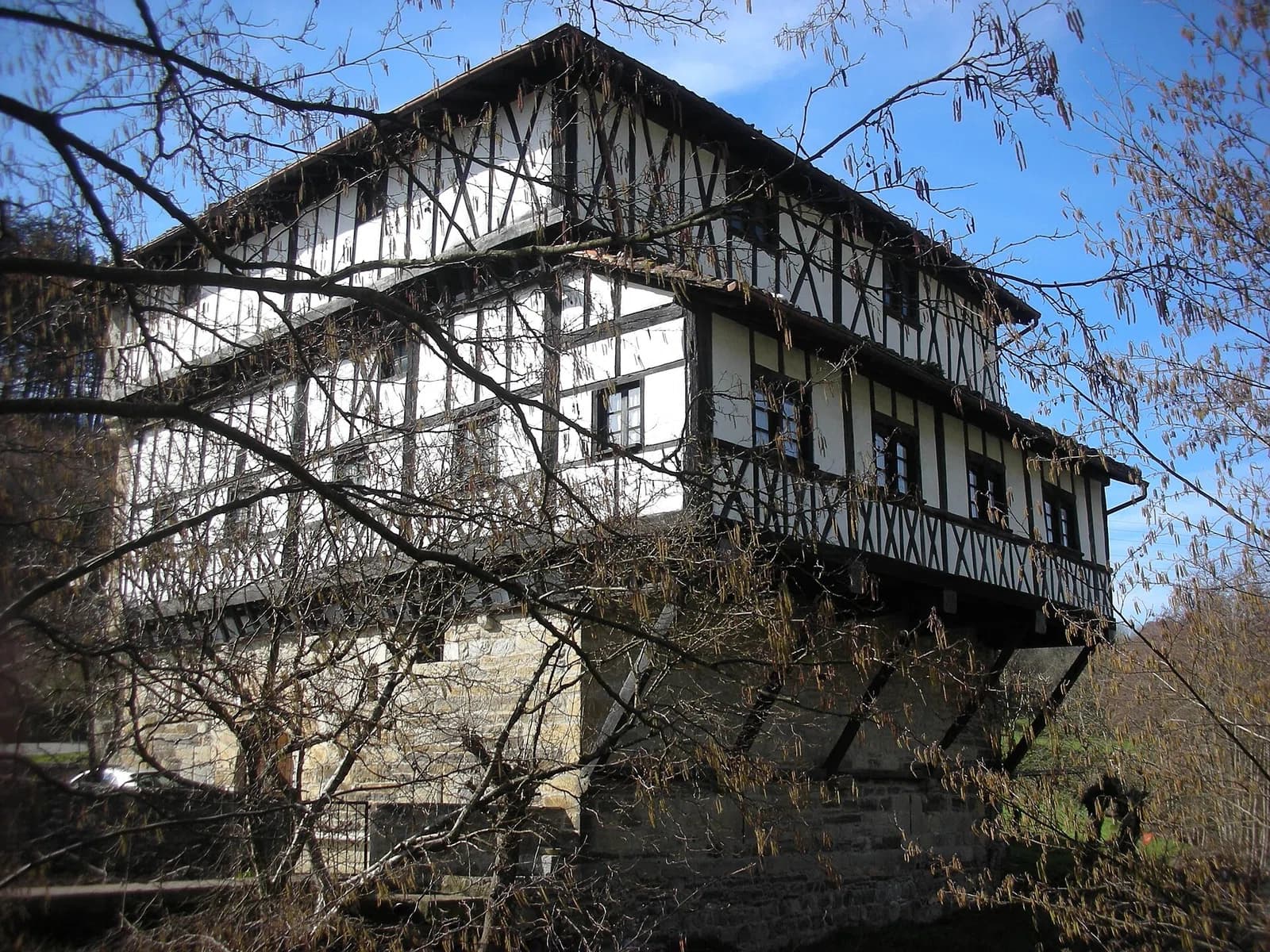 Betelu