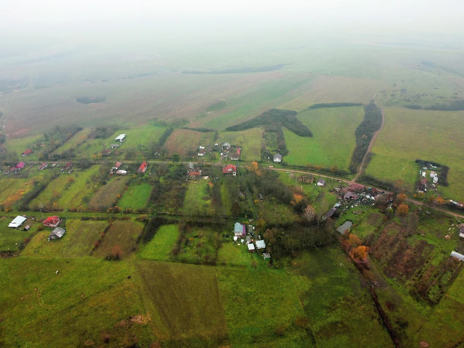 Sărătura
