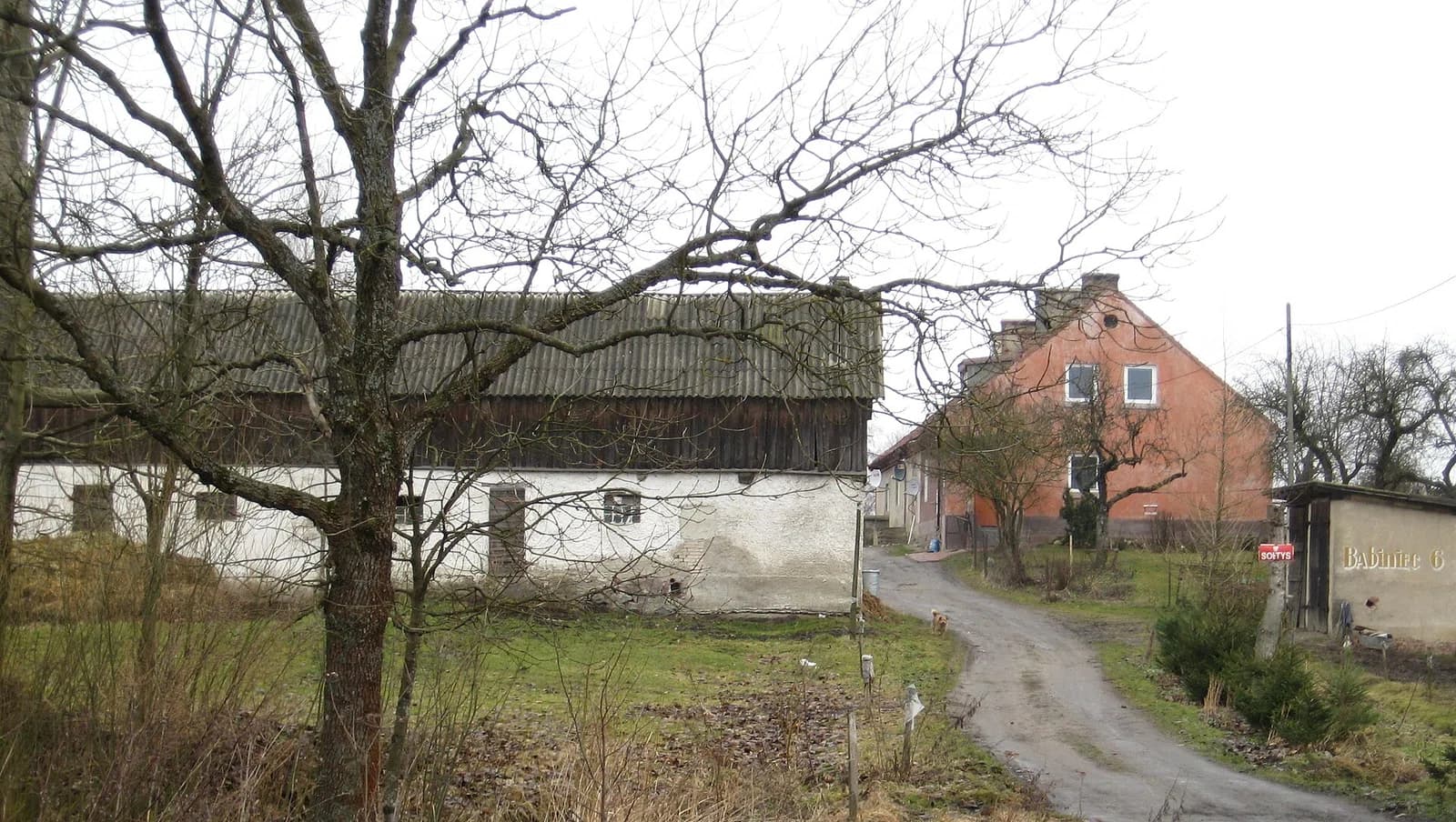 Babieniec