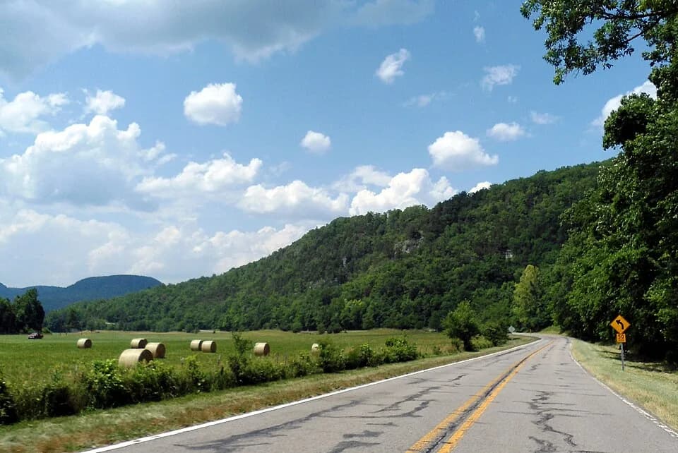 Newton County