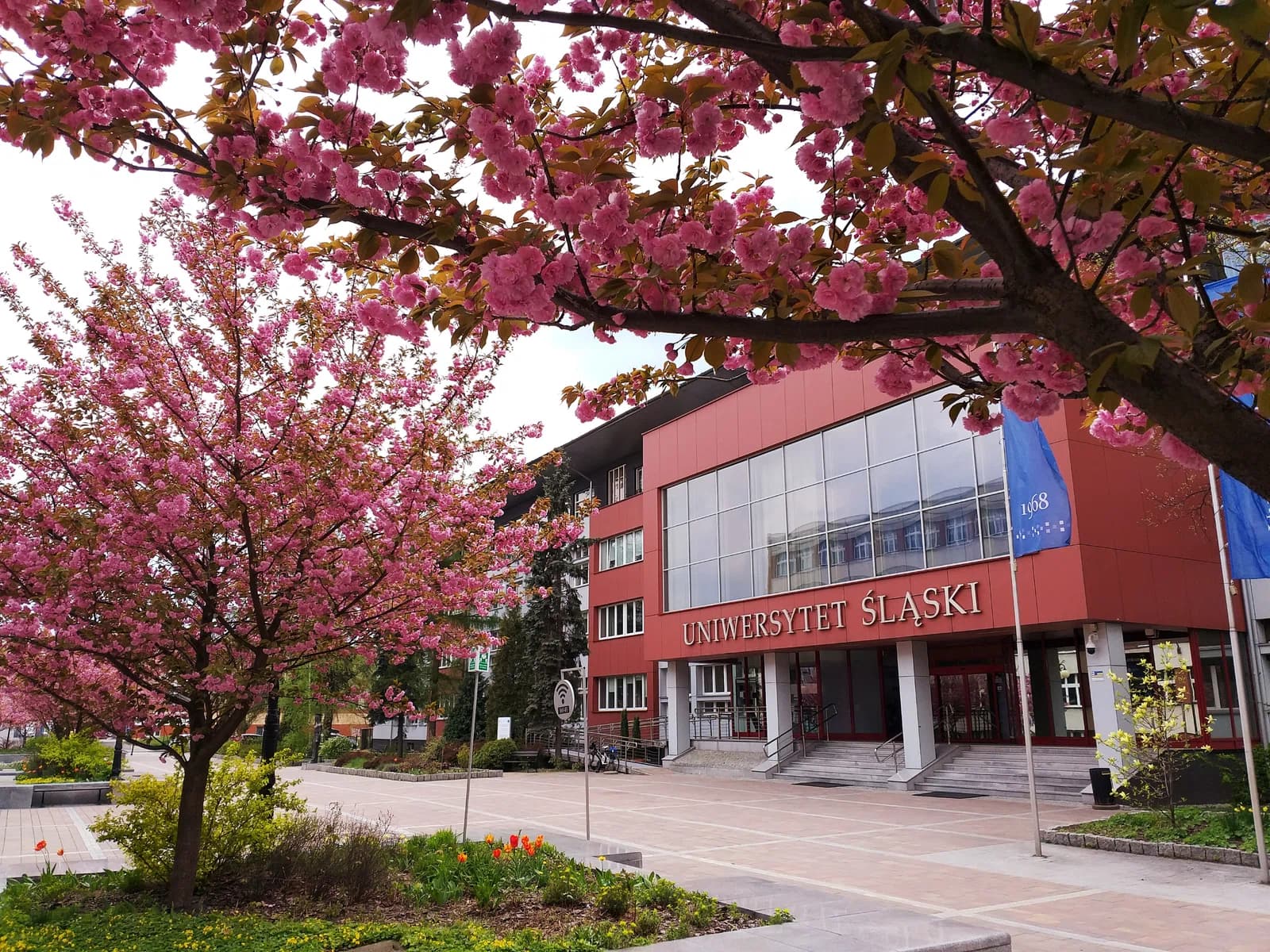 University of Silesia in Katowice