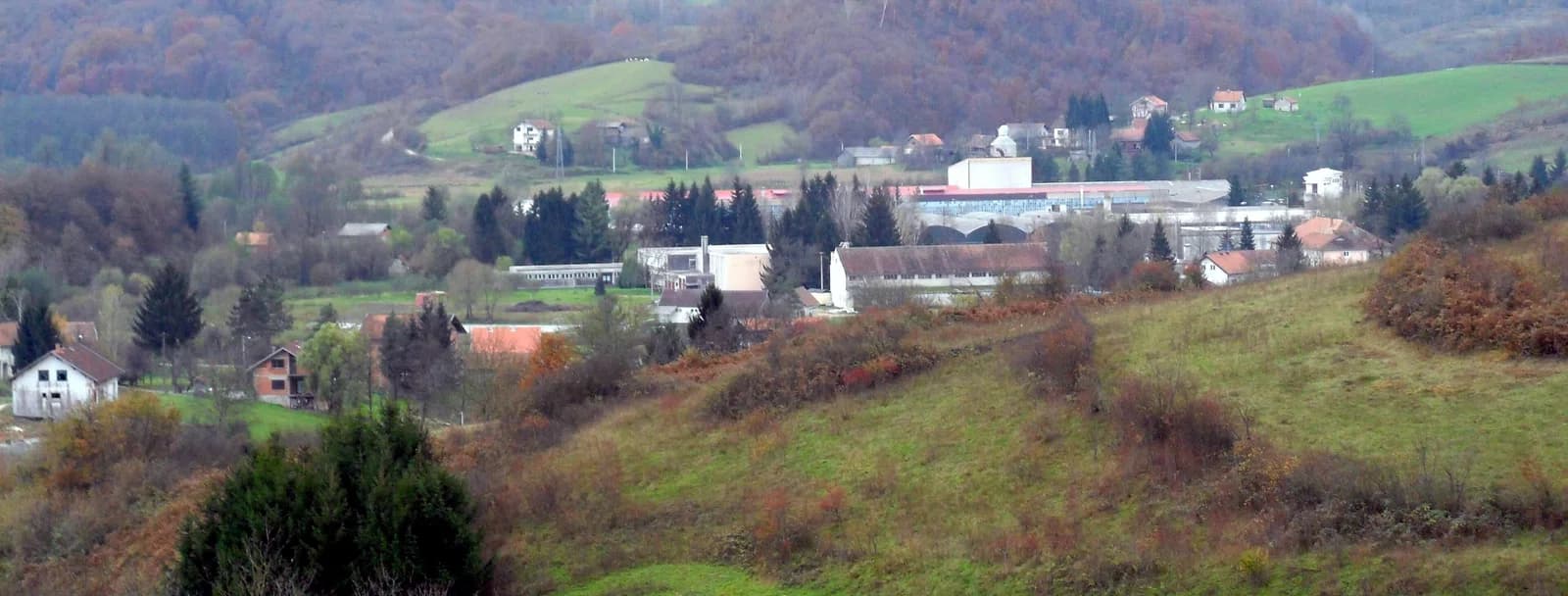 Vojnić
