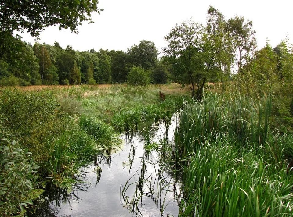 Manowo