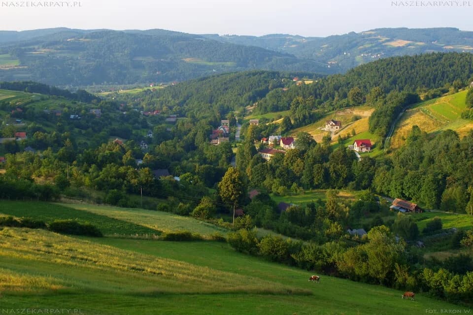 Jaworzna